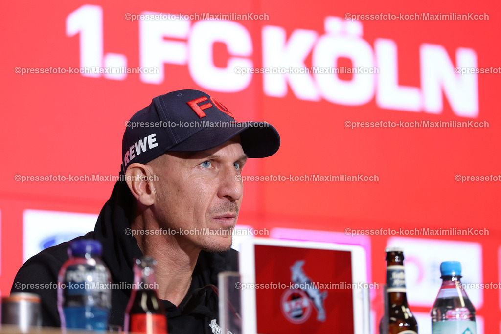 Koe09112401110 | 09.11.2024, 1. FC Köln - SpVgg Greuther Fürth, 2. Fußball Bundesliga, RheinEnergieSTADION, Saison 2024 2025: Pressekonferenz der Trainer nach dem Spiel - Trainer Gerhard Struber (Cheftrainer 1.FC Köln)DFB regulations prohibit any use of photographs as image sequences and or quasi-video.