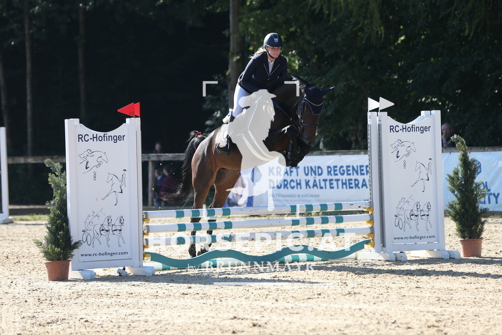 DL2Q7845 | Willkommen bei Brunnmayr - Design & Fotografie – Ihrem Spezialisten für Reitturniere und Pferdeveranstaltungen in Oberösterreich, Salzburg und Bayern! Seit über 17 Jahren sind wir leidenschaftlich dabei.