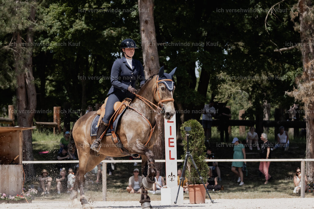 WE_SP_Stoib_329_PI2025_2008 | Pferd International München 2025