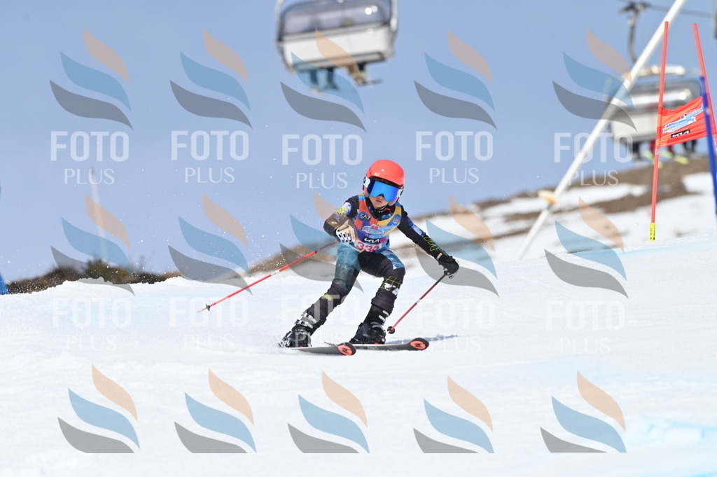 BGV_3337 | holidayphoto