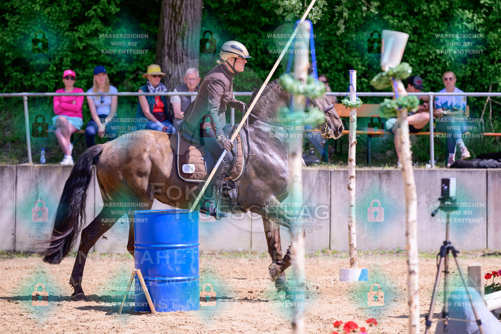 03052026-Giesenbach-05-Stiltrail-0537 | Fokus Hufschlag Fotografie - Realisiert mit Pictrs.com
