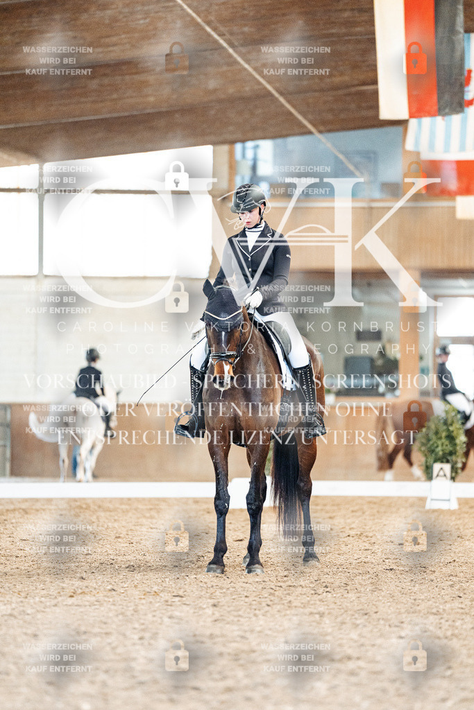 CK908871 | Turnierfotografie Pferdefotografie Trier Rheinland-Pfalz Pferdesport Reitsport Tierfotografie Sportfotografie Pferdevideo Pferdevideografie Equestrianvideography equestrianphotography  - Realisiert mit Pictrs.com