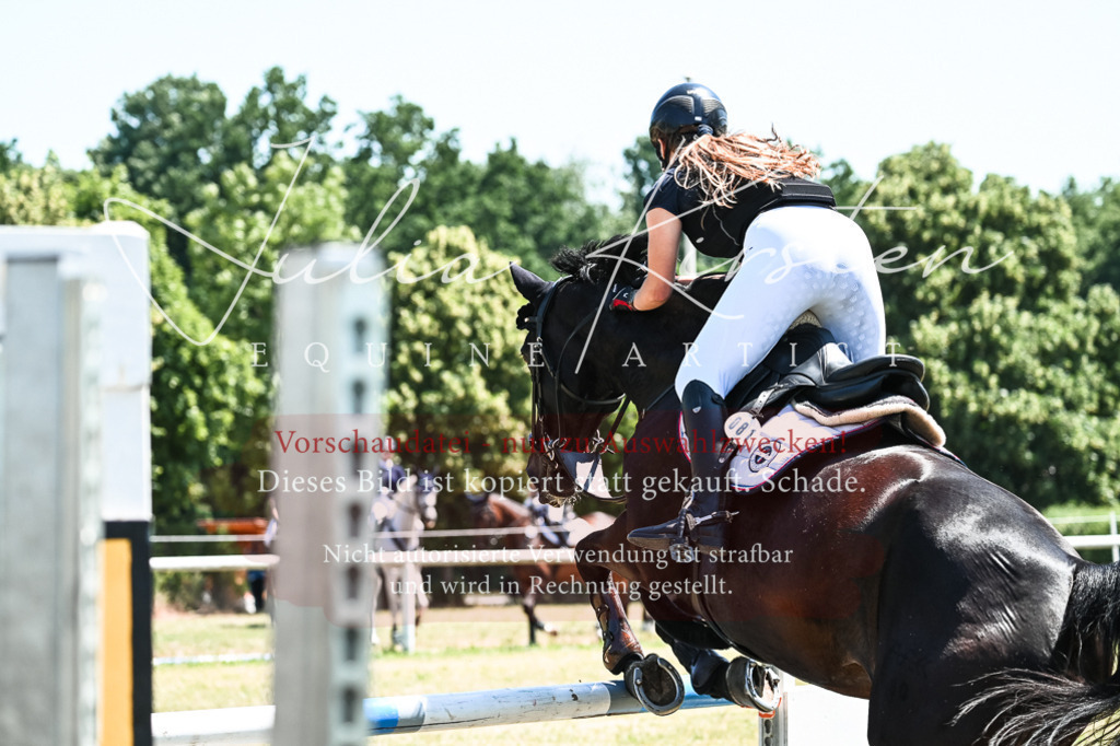 DSC_0510 | Pferde- und Turnierfotografie in Westsachsen. Pferdeportraits, Auftragszeichnungen und intuitive Kunst.