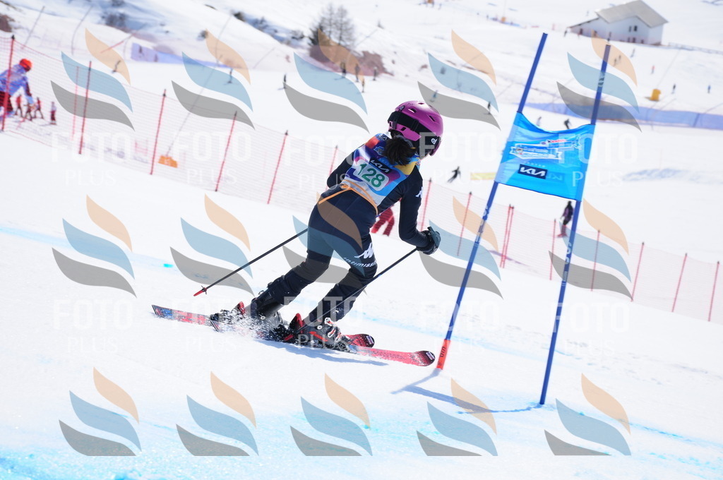 DSC_1067 | holidayphoto