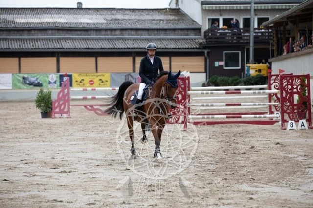 2B4A2425 | pixelfaenger - Realisiert mit Pictrs.com