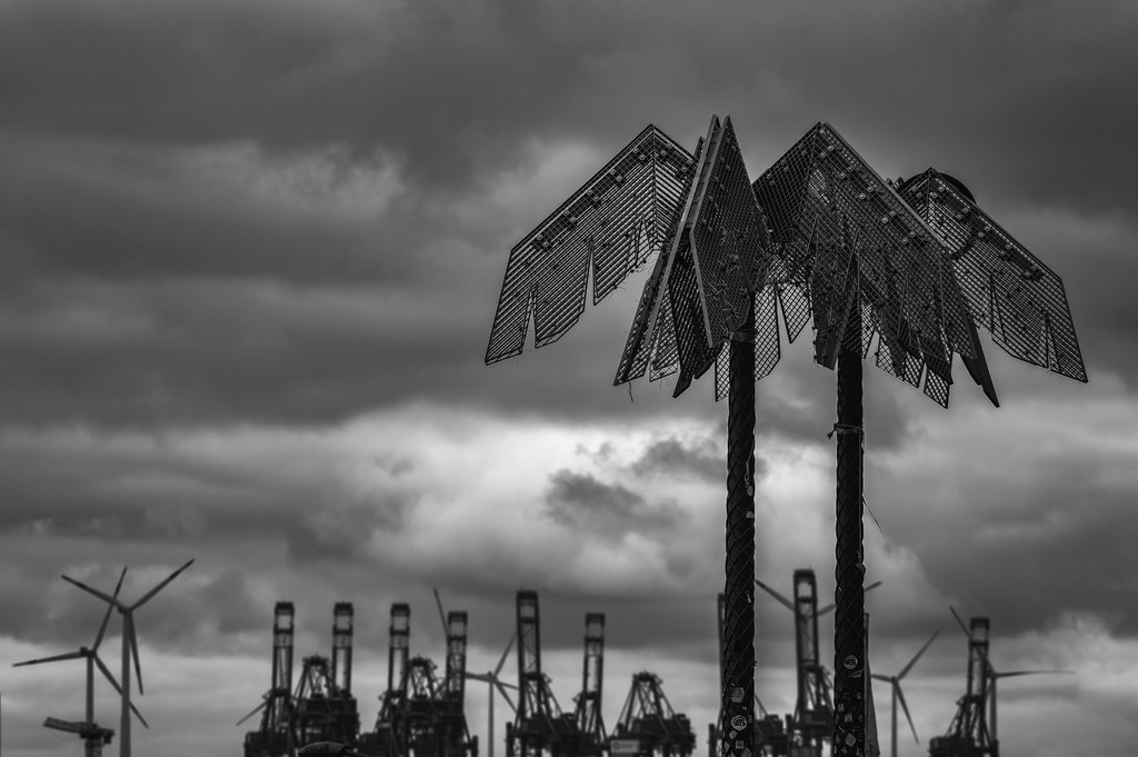 2025_03_12_HH-LANDUNGSBRUECKEN+HOLZHAFEN_MCP6323 sw | Hochwertig gedruckte Fotografien für die Wand, als Kalender und zum Verschenken. Hamburg & Norddeutschland und überall wo ich mit der Kamera unterwegs war.