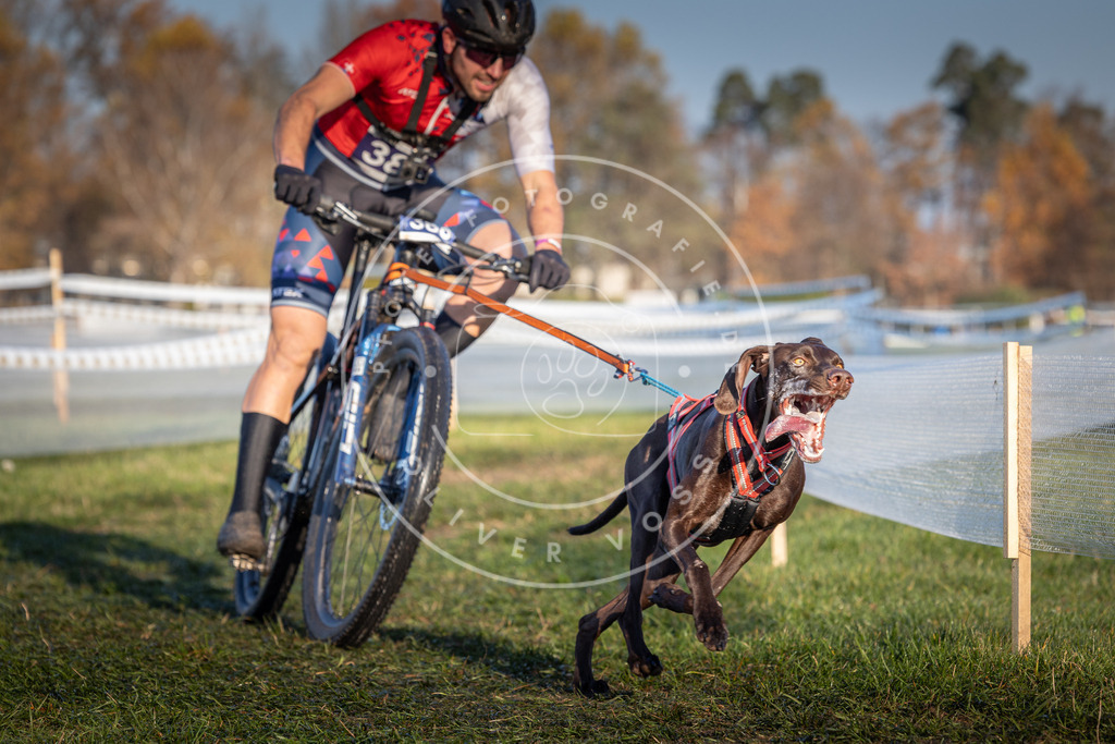 CaniXpix_0L8A3798 | Hundefotografie, Tierfotograf, Pfotenfotografie, Fotoshooting Hund, Hunde Portrait, Hundesport, Hundeportraits, Heideshooting, Hunde, Sportfotograf, Hundefotograf, Turnierhundsport, THS,  - Realisiert mit Pictrs.com