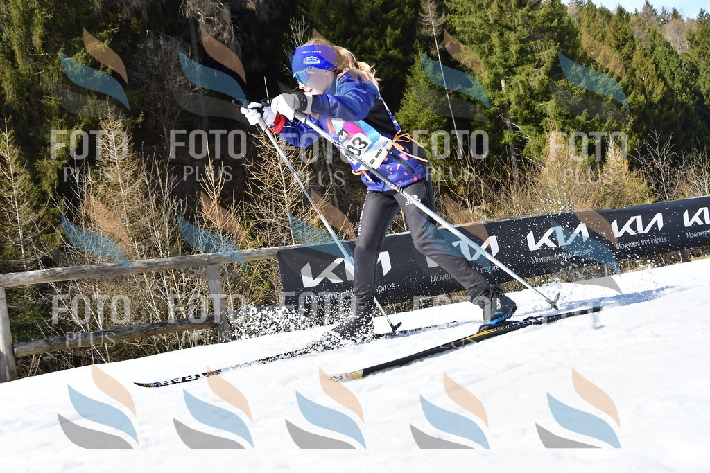 _DSC9634 | holidayphoto