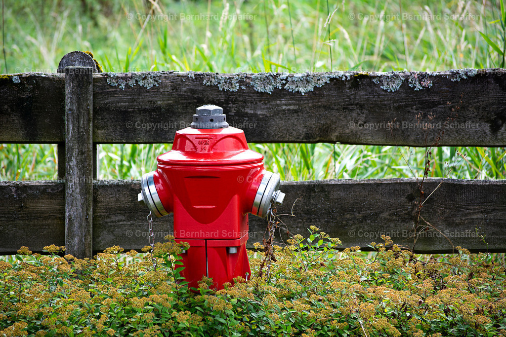 Hydrant auf der Wiese | Ein Wasserhydrant steht in einer Wiese. - Realisiert mit Pictrs.com
