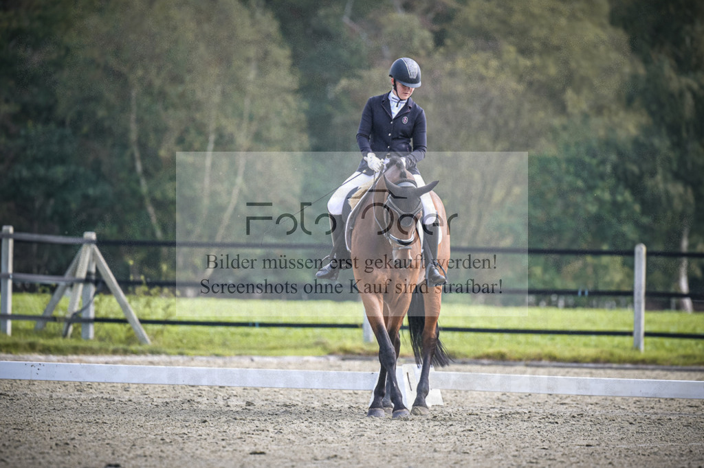 DOS_B686 | Entdecke hochwertige Reitturnierfotos von Foto Oger. Professionell, emotional und authentisch – jetzt Lieblingsmomente im Shop bestellen.Deutschlandweite Turnierfotografie. - Realisiert mit Pictrs.com