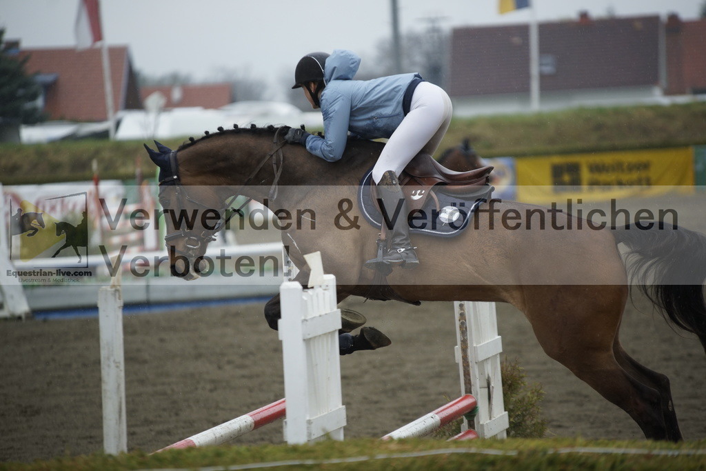 _DSC3927 | equestrian-live-com