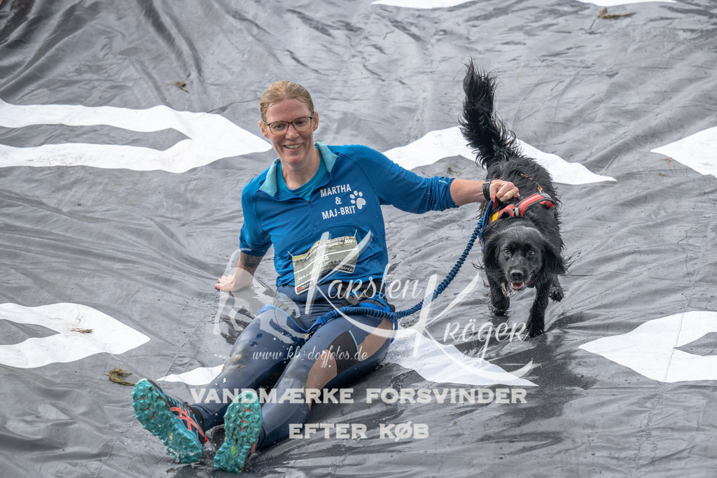 1203_ZZ94152 | kk-dogfotos