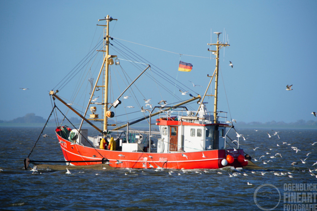 Oktober | Björn Thiemann; Ogenblick.de; Fotografie; Photograph; Landscape, Pellworm, Schleswig-Holstein; Inselfotograf; Inselfotografien; Wattenmeer; National-Park; Naturschutzgebiet; Leuchtturm; Lighthouse; Leinwandbilder; Kalender; Pellworm Kalender;  - Realisiert mit Pictrs.com