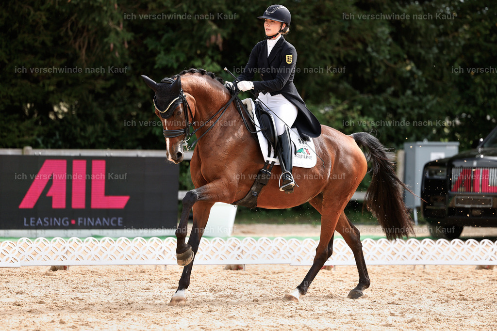 11-003-Dressur S___-StoibPH-1082 | working equitationturnier fotograf videograf stoibphotography marixx film working equitation deutschland reitsport turnierfotografie eventfotografie equestrian events