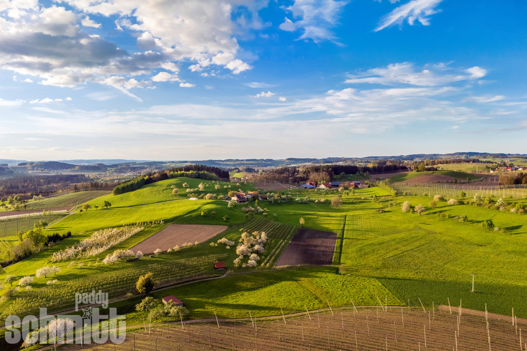PS-Bodenseeregion-2026-99 | Entdecke die größte Bildgalerie der Region mit Fotografien aus dem Allgäu, der Bodenseeregion, Oberschwaben, dem Donautal und der Schwäbischen Alb. Landschaften, Luftaufnahmen und Reisefotografie als Wandbild und Fotokunst. - Realisiert mit Pictrs.com