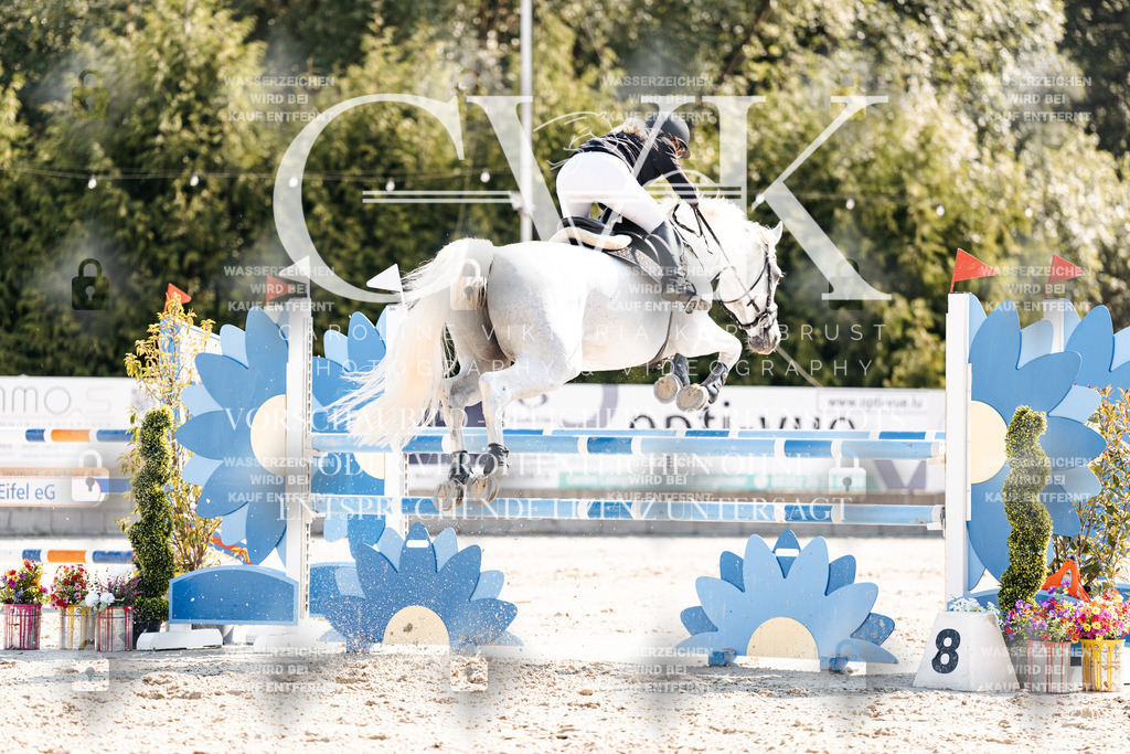 CK902469 | Turnierfotografie Pferdefotografie Trier Rheinland-Pfalz Pferdesport Reitsport Tierfotografie Sportfotografie Pferdevideo Pferdevideografie Equestrianvideography equestrianphotography  - Realisiert mit Pictrs.com