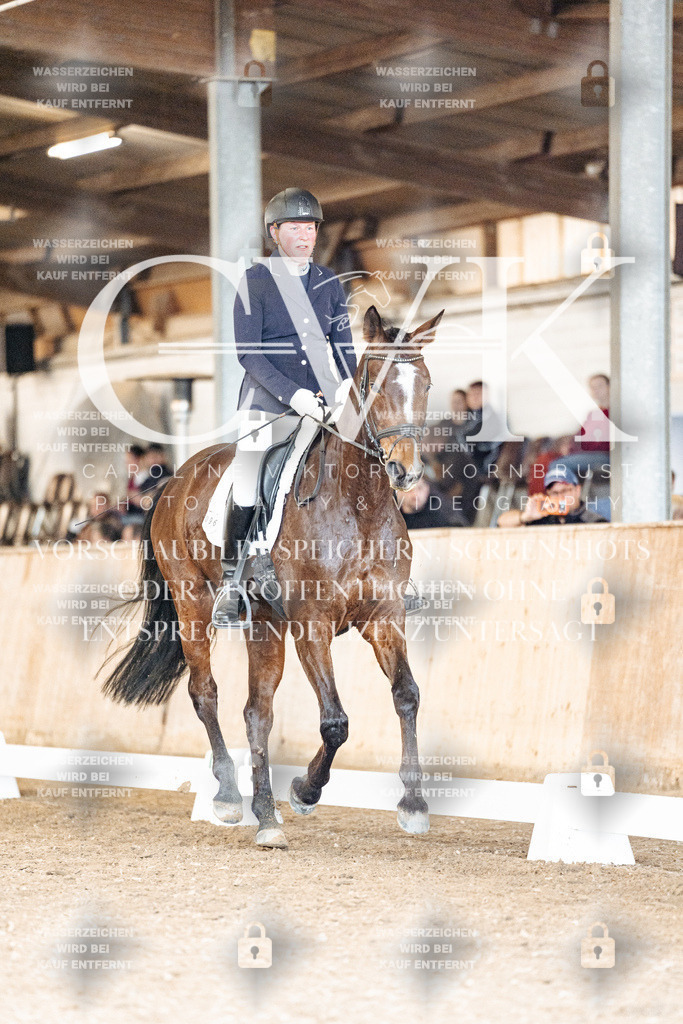 CK901407 | Turnierfotografie Pferdefotografie Trier Rheinland-Pfalz Pferdesport Reitsport Tierfotografie Sportfotografie Pferdevideo Pferdevideografie Equestrianvideography equestrianphotography  - Realisiert mit Pictrs.com