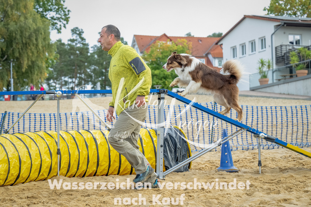 0924_ZZ92346-Bearbeitet | kk-dogfotos