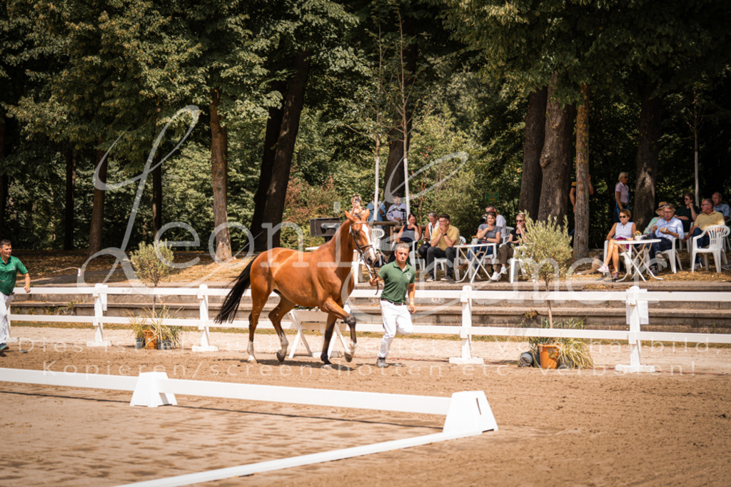 1.Fr00108 | Leoni Ertmer Photography - Realisiert mit Pictrs.com