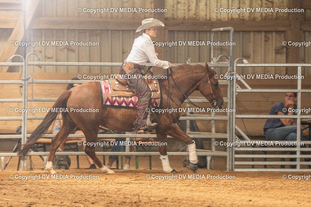 NID01945 | dv-media-shop - Realisiert mit Pictrs.com