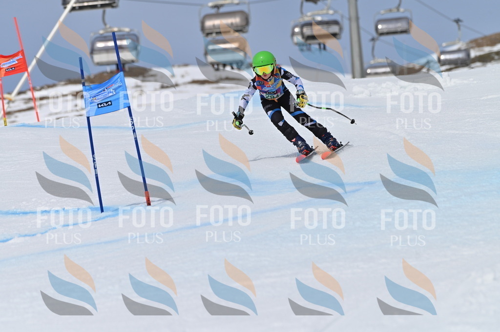 BGV_5875 | holidayphoto