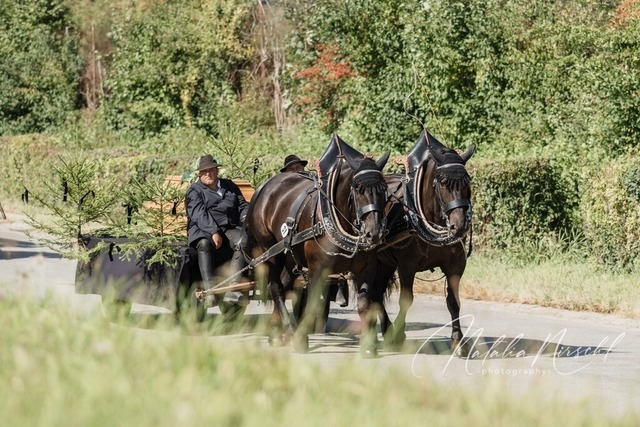 7V6A1490 | natalia-nirschl-photography