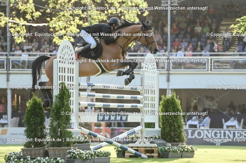 20230526_Pferdenacht_0033 | equistock