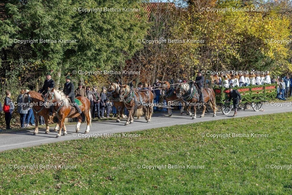 LBT25-231 | foto-bettina-krinner - Realisiert mit Pictrs.com