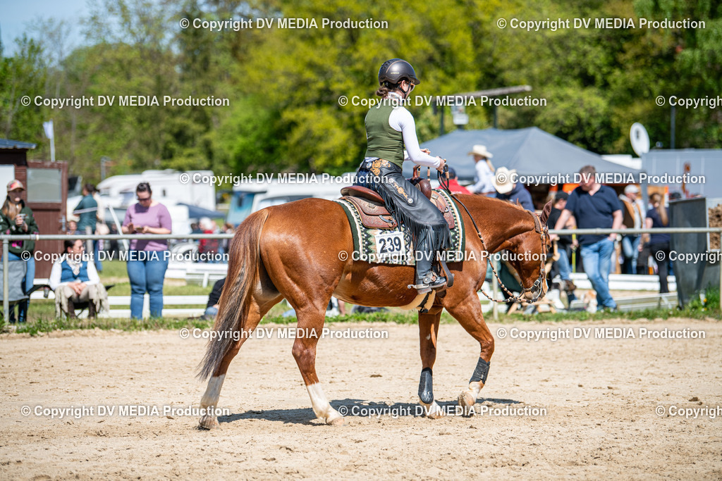 Heiligenwald Tag 3-1790 | dv-media-shop - Realisiert mit Pictrs.com