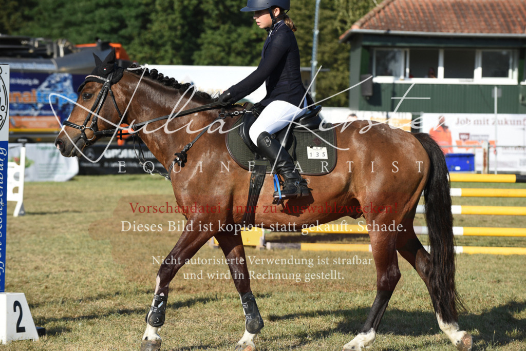DSC_5096 | Pferde- und Turnierfotografie in Westsachsen. Pferdeportraits, Auftragszeichnungen und intuitive Kunst.