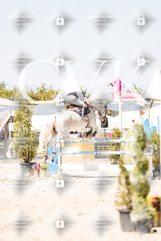 CK909922 | Turnierfotografie Pferdefotografie Trier Rheinland-Pfalz Pferdesport Reitsport Tierfotografie Sportfotografie Pferdevideo Pferdevideografie Equestrianvideography equestrianphotography  - Realisiert mit Pictrs.com