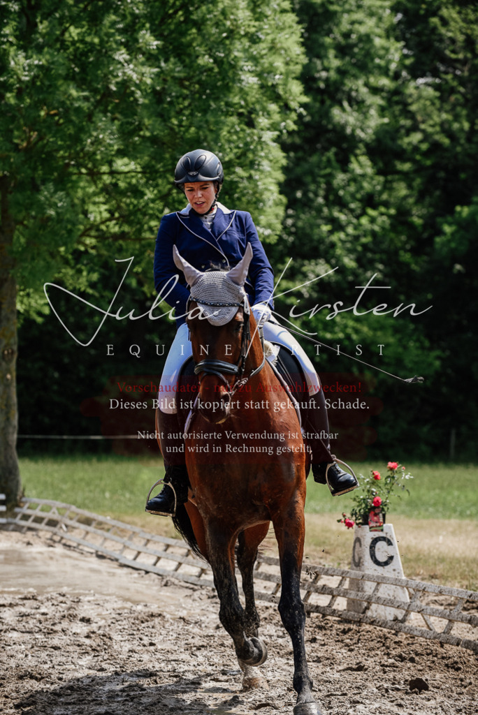 DSC_1179 | Pferde- und Turnierfotografie in Westsachsen. Pferdeportraits, Auftragszeichnungen und intuitive Kunst.