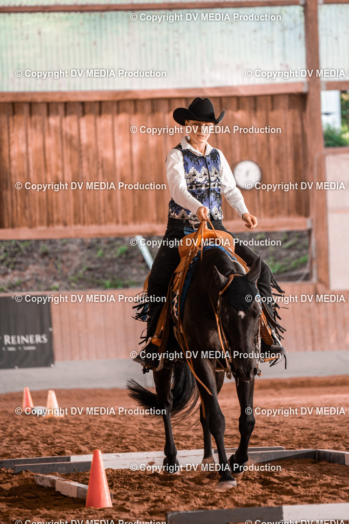 NE300200 | dv-media-shop - Realisiert mit Pictrs.com