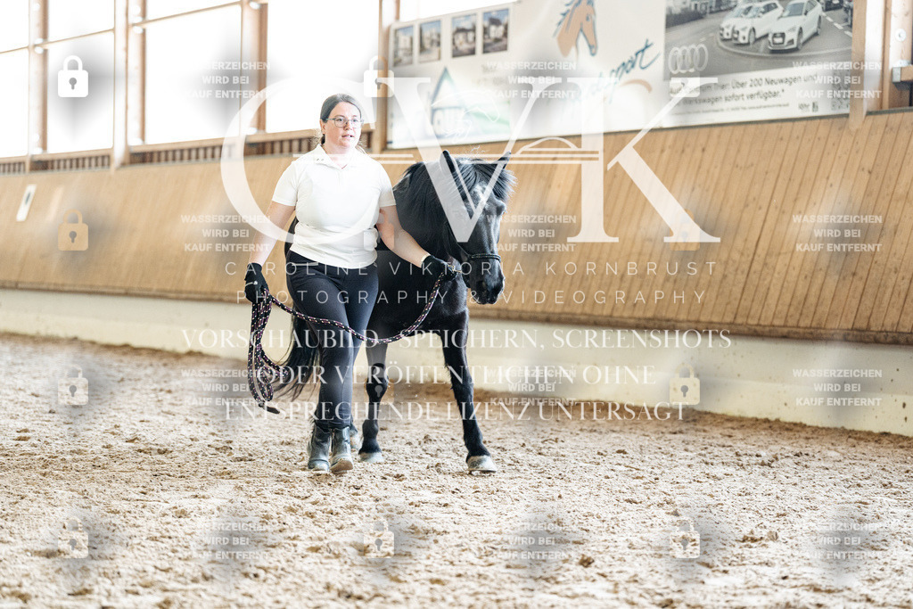CK907933 | Turnierfotografie Pferdefotografie Trier Rheinland-Pfalz Pferdesport Reitsport Tierfotografie Sportfotografie Pferdevideo Pferdevideografie Equestrianvideography equestrianphotography  - Realisiert mit Pictrs.com