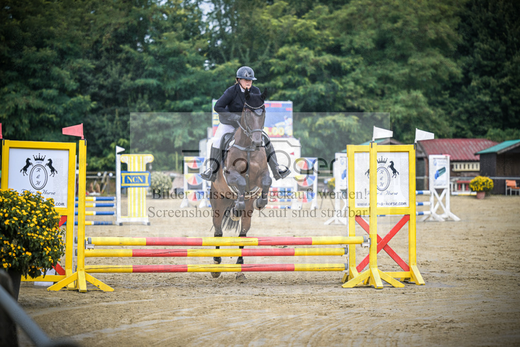 DOS_9738 | Entdecke hochwertige Reitturnierfotos von Foto Oger. Professionell, emotional und authentisch – jetzt Lieblingsmomente im Shop bestellen.Deutschlandweite Turnierfotografie. - Realisiert mit Pictrs.com