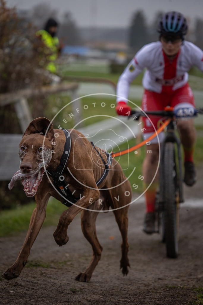 CaniXpix_0L8A1214 | Hundefotografie, Tierfotograf, Pfotenfotografie, Fotoshooting Hund, Hunde Portrait, Hundesport, Hundeportraits, Heideshooting, Hunde, Sportfotograf, Hundefotograf, Turnierhundsport, THS,  - Realisiert mit Pictrs.com