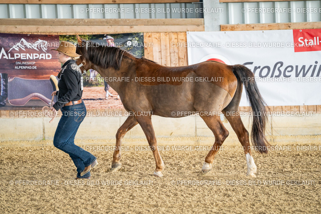 DSC07435 | Pferdegrafie