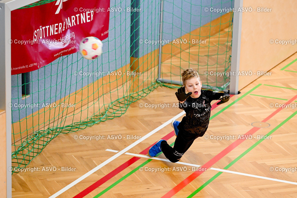 ASVÖ_ Fussballturnier SV Gallneukirchen_ 09.02.2025-115 | 09.02.2025, Gallneukirchen, AUT, ASVÖ, Fussball Nachwuchs Hallenturnier 2025, SV Gallneukirchen im Bild Teilnehmer U 9©Harald Dostal / fodo.media - Realisiert mit Pictrs.com