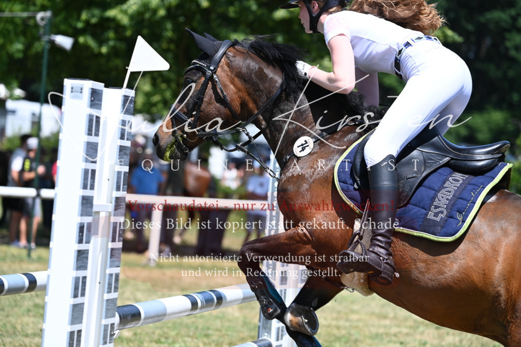 DSC_0792 | Pferde- und Turnierfotografie in Westsachsen. Pferdeportraits, Auftragszeichnungen und intuitive Kunst.