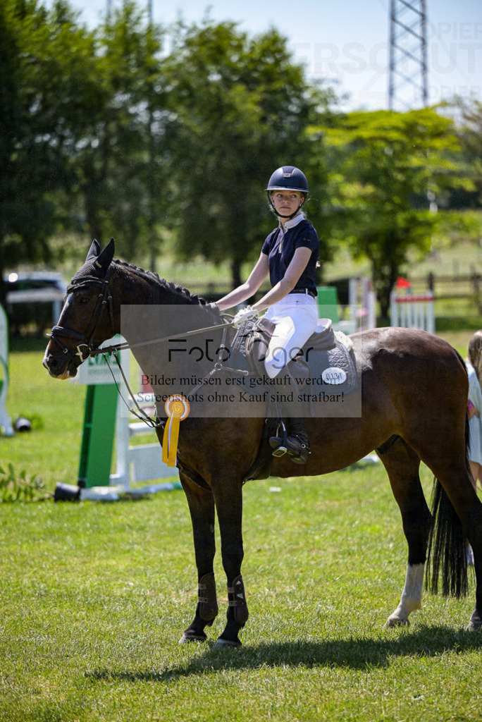 Reitturnier Voxtrup | Entdecke hochwertige Reitturnierfotos von Foto Oger. Professionell, emotional und authentisch – jetzt Lieblingsmomente im Shop bestellen.Deutschlandweite Turnierfotografie. - Realisiert mit Pictrs.com