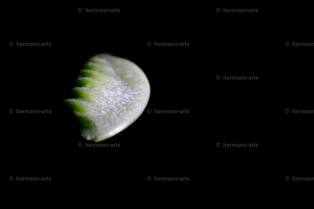 Fruits-Art-051 | Photo Foto Kunst Art schwarzweiss Bilder Rheine Münster Berlin Blumen 