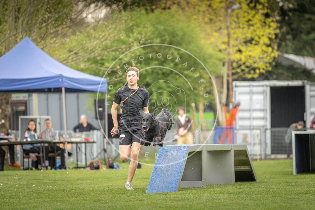 Pfotenfotografie_DV3A1217 | Hundefotografie, Tierfotograf, Pfotenfotografie, Fotoshooting Hund, Hunde Portrait, Hundesport, Hundeportraits, Heideshooting, Hunde, Sportfotograf, Hundefotograf, Turnierhundsport, THS,  - Realisiert mit Pictrs.com