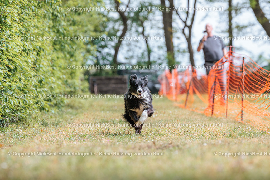 Sage Hunderennen Frühlingsfest-2026-Nickbest-Hundefotografie-0295 | Dein Hund! Dein Moment! Deine Erinnerungen! Hundefotografie in Bremen Blumenthal. Ich fange die besonderen Momente deines Vierbeiners ein – ob Indoor mit Blitzanlage oder in der freien Natur. Sicher dir dein Moment und dein Termin für eure Erinnerungen.