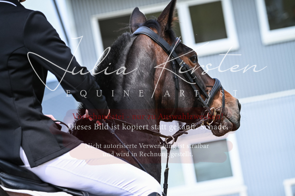 DSC_8432 | Pferde- und Turnierfotografie in Westsachsen. Pferdeportraits, Auftragszeichnungen und intuitive Kunst.