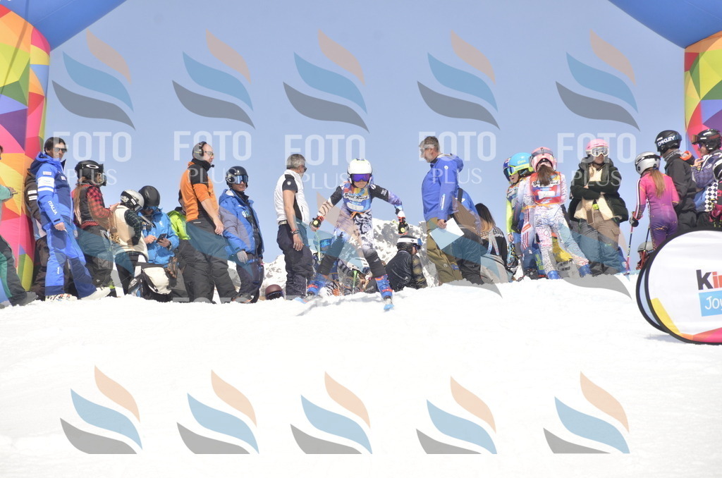 _ELE9010 | holidayphoto