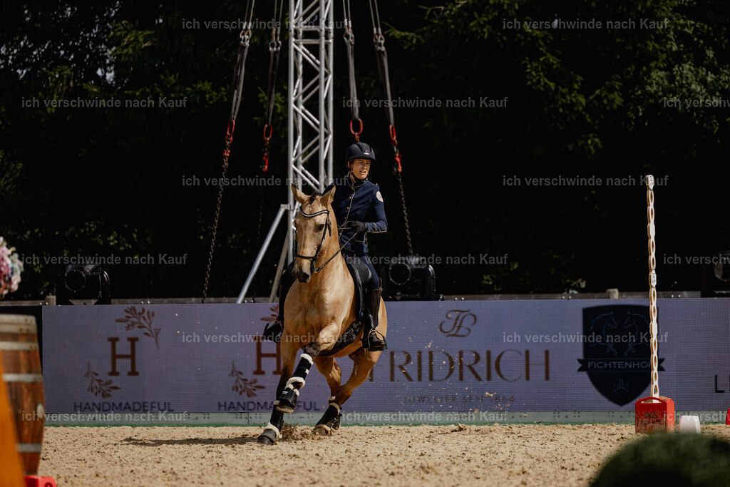 Diana11_FHC2025-20551 | working equitationturnier fotograf videograf stoibphotography marixx film working equitation deutschland reitsport turnierfotografie eventfotografie equestrian events