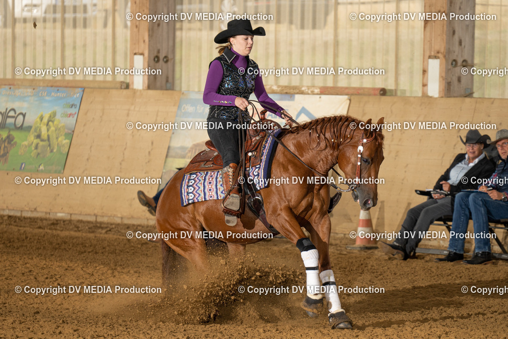 LAU01370 | dv-media-shop - Realisiert mit Pictrs.com