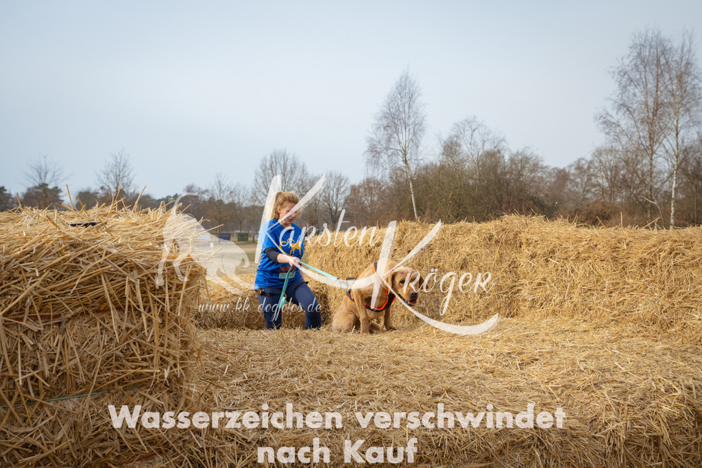 1031_ZZ95857 | kk-dogfotos