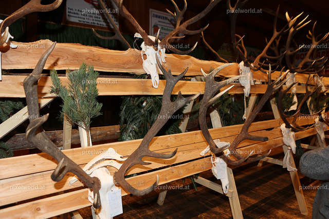 Hubertusmesse in Steuerberg | Bildershop von pixelworld.at - Realisiert mit Pictrs.com