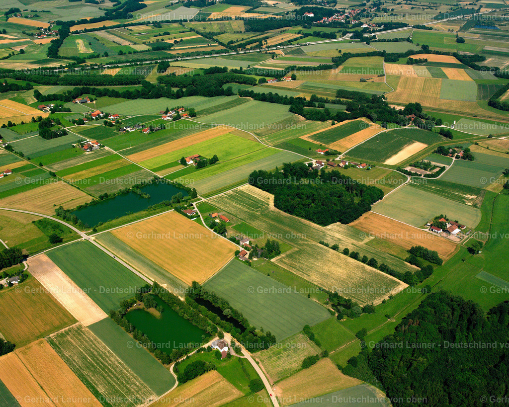 2518119 | Moos, Mariaposching